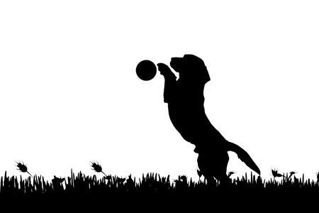 Vector silhouette of a dog in nature.のイラスト素材