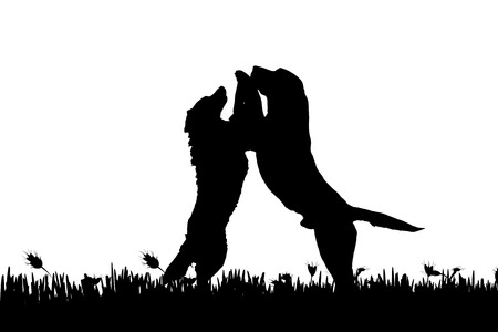 Vector silhouette of a dog in nature.のイラスト素材