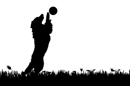 Vector silhouette of a dog in nature.のイラスト素材