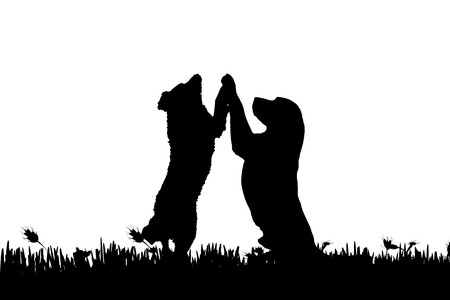 Vector silhouette of a dog in nature.のイラスト素材