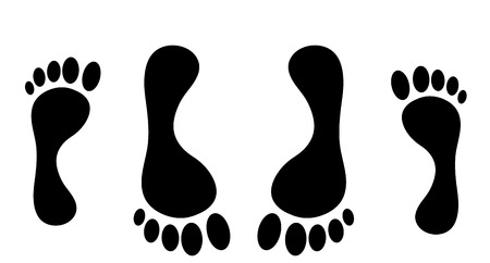 Vector illustration of a human foot on a white background.のイラスト素材