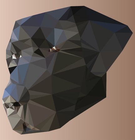low poly Illustration labrador head on backgroundのイラスト素材