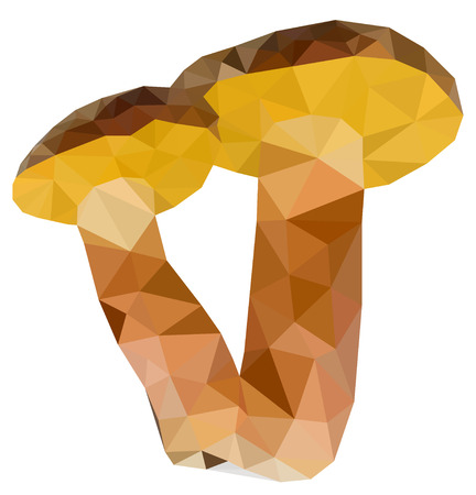 Two low poly mushroom on white backgroundのイラスト素材