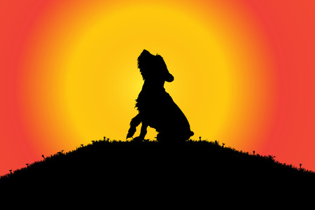 Vector silhouette of a dog in nature.のイラスト素材