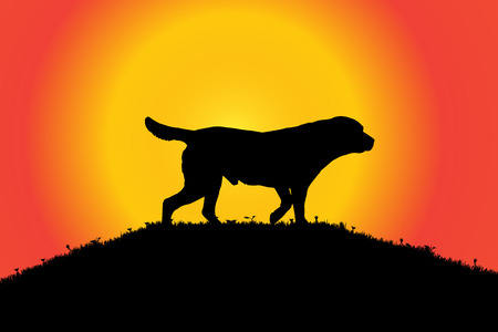 Vector silhouette of a dog in nature.のイラスト素材