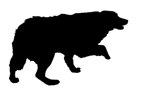 Vector silhouette of a dog on a white background.のイラスト素材