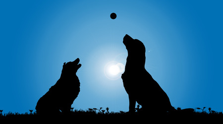 Vector silhouette of a dog in nature.のイラスト素材