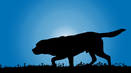 Vector silhouette of a dog in nature.のイラスト素材