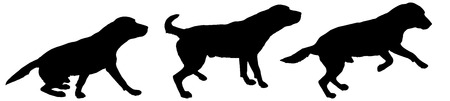 Vector silhouette of a dog on a white background.のイラスト素材