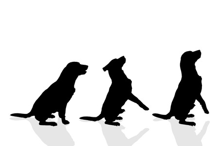 Vector silhouette of a dog on a white background.のイラスト素材