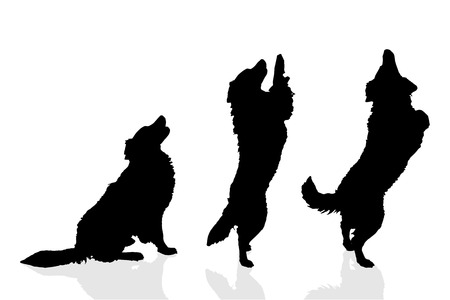 Vector silhouette of a dog on a white background.のイラスト素材