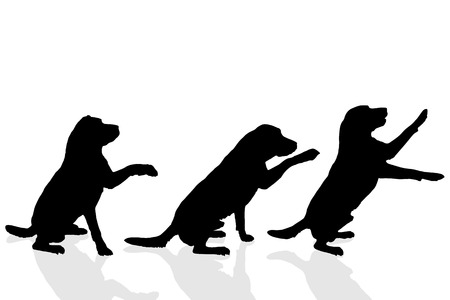 Vector silhouette of a dog on a white background.のイラスト素材