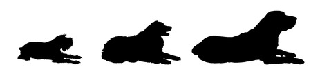Vector silhouette of a dog on a white background.のイラスト素材