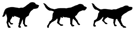 Vector silhouette of a dog on a white background.のイラスト素材