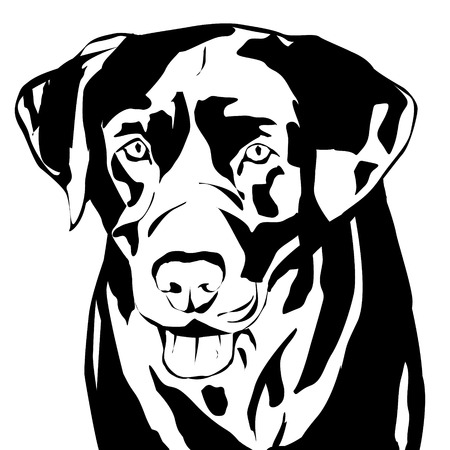 Vector silhouette of a dog on a white background.