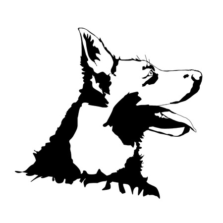 Vector silhouette of a dog on a white background.のイラスト素材