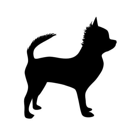 Vector illustration of dog on a white background.のイラスト素材