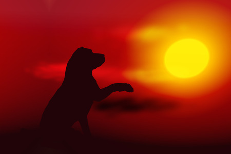 Vector illustration sunset with silhouette of dogのイラスト素材