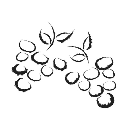 Vector silhouette of grapes on white background.のイラスト素材