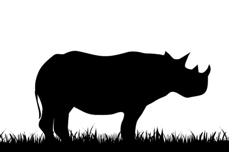 Vector illustration of a rhinoceros on white background.のイラスト素材