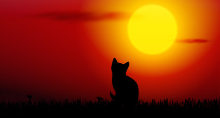 Vector illustration of cat silhouette on sunsetのイラスト素材