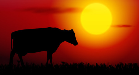 Vector illustration of cow silhouette on sunsetのイラスト素材
