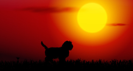 Vector illustration of dog silhouette on sunsetのイラスト素材