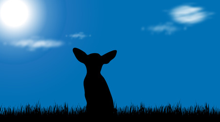 Vector illustration of dog on meadow at sunny day.のイラスト素材
