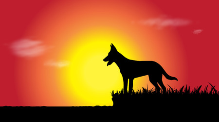 Vector silhouette of dog in nature at sunset.のイラスト素材