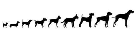 Vector silhouette of dog on white background.のイラスト素材