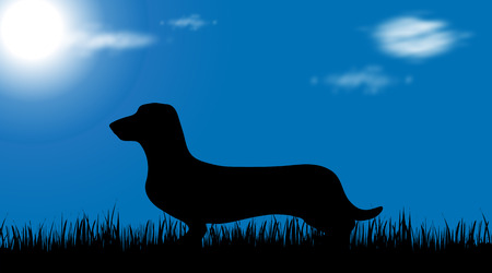 Vector silhouette of dog on garden.のイラスト素材
