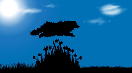 Vector silhouette of dog on garden.のイラスト素材
