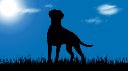 Vector silhouette of dog on garden.のイラスト素材