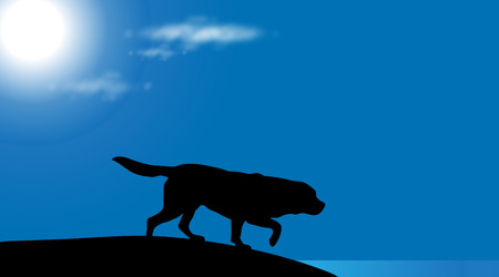 A Vector silhouette of dog on the beach at sunny day.のイラスト素材