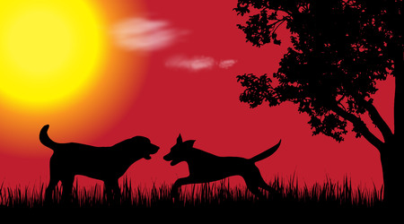 Vector silhouette of dog in nature at sunset.のイラスト素材