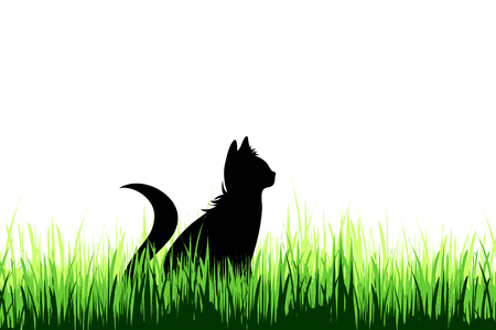 Vector silhouette of cat on a meadow on white background.のイラスト素材