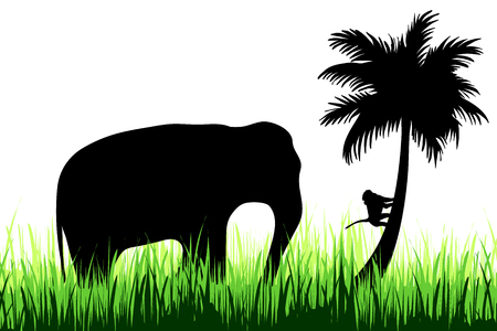 Vector silhouette of elephant in nature on white background.のイラスト素材
