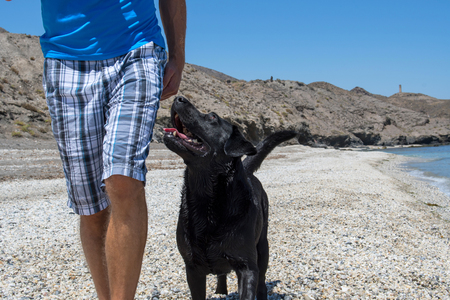 Man with his dog on the beach.の写真素材
