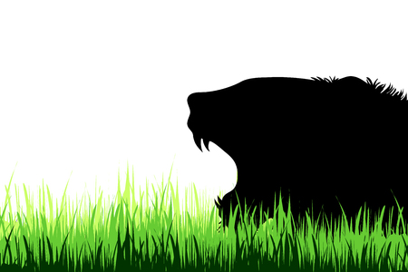 Vector silhouette of lion on a meadow on white background.のイラスト素材