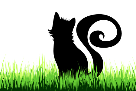 Vector silhouette of cat on a meadow on white background.のイラスト素材