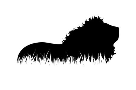 Vector silhouette of lion in the grass on white background.のイラスト素材