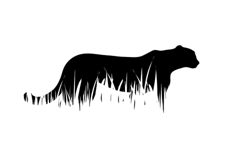 Vector silhouette of tiger in the grass on white background.のイラスト素材