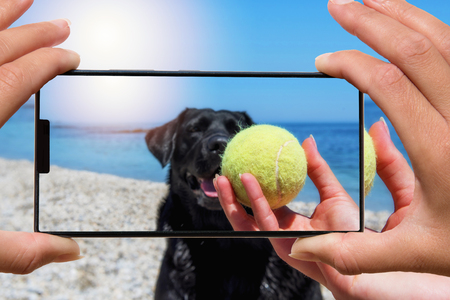 Woman with mobile phone photos dog on the beach.の写真素材