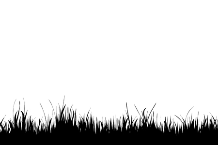 Vector silhouette of grass on white background.のイラスト素材