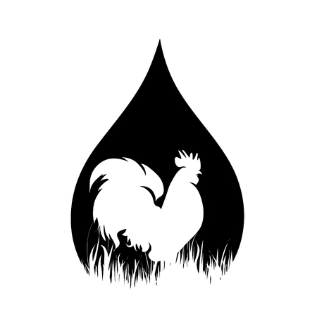 Vector silhouette of drop with rooster on white background.のイラスト素材