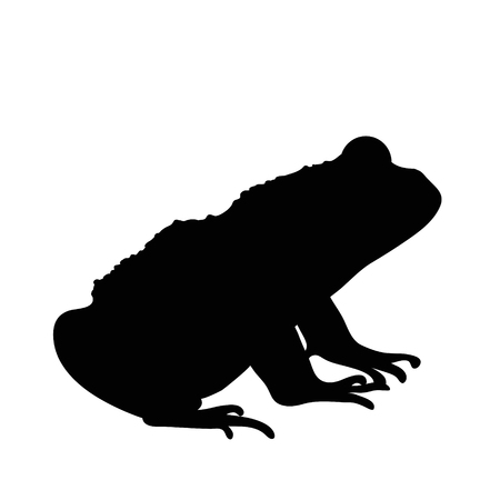 Vector silhouette of frog on white background.のイラスト素材