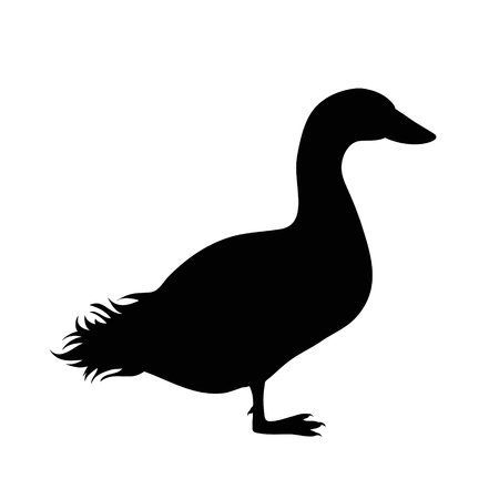 Vector silhouette of duck on white background.のイラスト素材