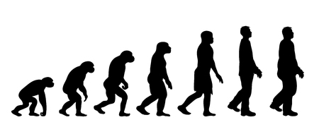 Theory of evolution of man. Vector silhouette of homo sapiens. Symbol from monkey to fat man.のイラスト素材