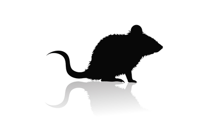 Vector silhouette of mouse on white background. Symbol of animal and nature.のイラスト素材