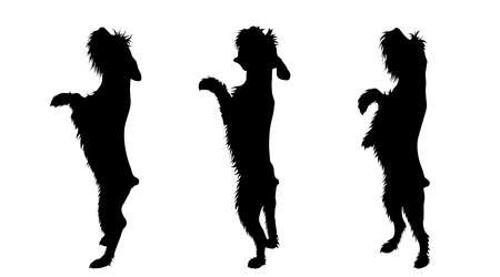 Vector silhoutte of set dogs on white background. Symbol of animal and veterinary.のイラスト素材